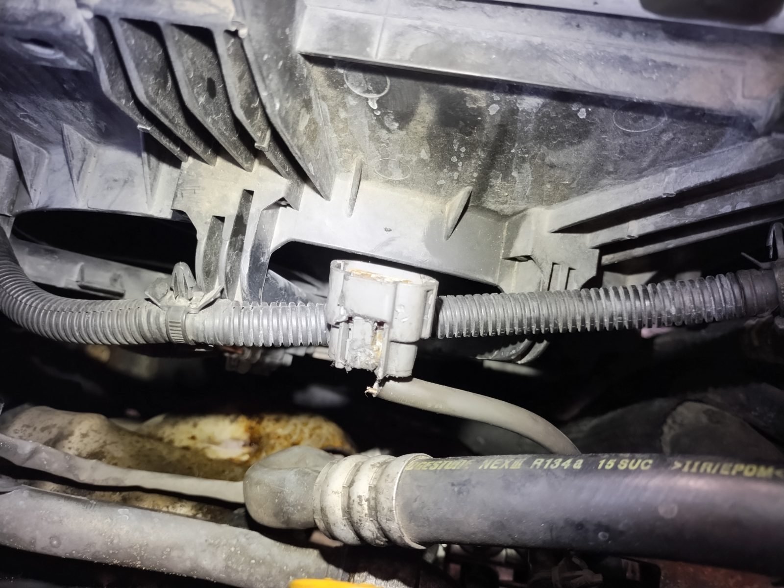 Engine repair and diagnostics in Austin